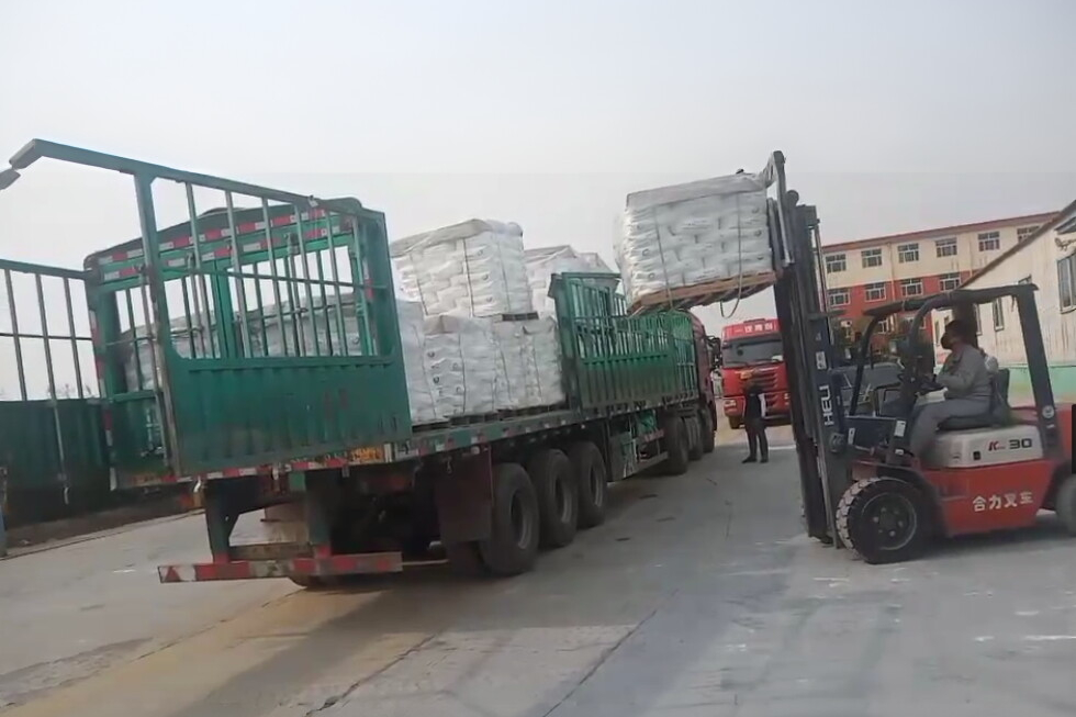 image_1775269088193_e1zz5f